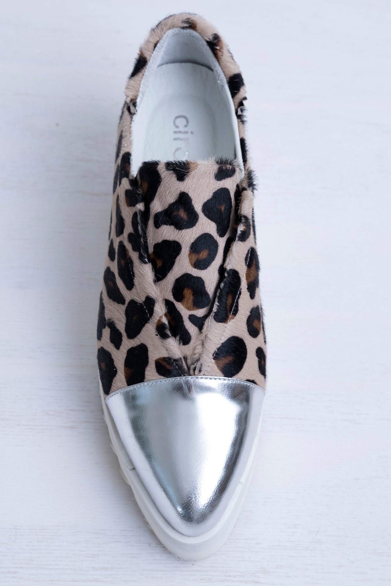 ヒョウ ✖️ シルバー